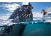 Lot 68 Albert Crescent, Booral, Qld 4655-Image