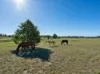 Lot 69 Thallon Road, Hatton Vale, Qld 4341-Image