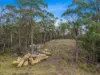 Lot 7, 524 Rosedale Road, Bicheno, Tas 7215
