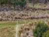 Lot 7, 524 Rosedale Road, Bicheno, Tas 7215-Image