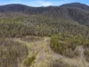 Lot 7, 524 Rosedale Road, Bicheno, Tas 7215-Image
