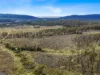 Lot 7, 524 Rosedale Road, Bicheno, Tas 7215-Image