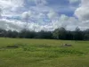Lot 7 Geiger Road, Canungra, Qld 4275-Image