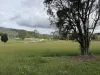 Lot 7 Geiger Road, Canungra, Qld 4275-Image