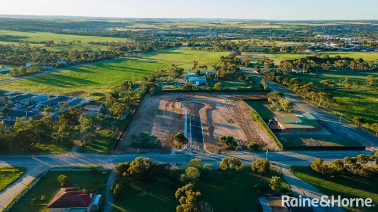 Lot 7 Gerardo Court, Murray Bridge, SA 5253