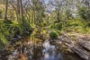 Lot 7 Illinbah Road, Illinbah, Qld 4275-Image