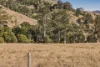 Lot 7 Illinbah Road, Illinbah, Qld 4275-Image
