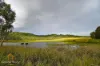 Lot 7, Wetherby Road, Mount Molloy, Qld 4871-Image