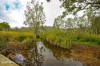 Lot 7, Wetherby Road, Mount Molloy, Qld 4871-Image