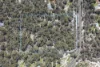Lot 71 Commonage Road, Quindalup, WA 6281-Image