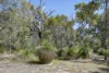 Lot 71 Commonage Road, Quindalup, WA 6281-Image