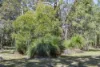 Lot 71 Commonage Road, Quindalup, WA 6281-Image