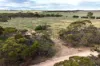 Lot 71 Old School Drive, Peake, SA 5301-Image