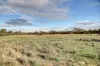 Lot 71 Old School Drive, Peake, SA 5301-Image