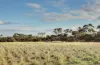 Lot 71 Old School Drive, Peake, SA 5301-Image