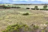 Lot 71 Old School Drive, Peake, SA 5301-Image