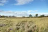 Lot 71 Old School Drive, Peake, SA 5301-Image