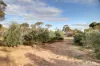 Lot 71 Old School Drive, Peake, SA 5301-Image