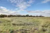 Lot 71 Old School Drive, Peake, SA 5301-Image