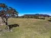 Lot 72/, 30 Narrango Road, Rylstone, NSW 2849-Image