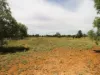 Lot 73, 30 Bristol Street, Mitchell, Qld 4465-Image