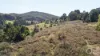 Lot 74, Rangeview Drive, Carey Gully, SA 5144-Image