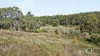 Lot 74, Rangeview Drive, Carey Gully, SA 5144-Image