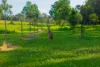 Lot 78 Provence Close, Sancrox, NSW 2446-Image