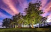 Lot 78 Provence Close, Sancrox, NSW 2446-Image