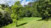 Lot 8, 34 Sterling Dr, Eumundi, Qld 4562-Image