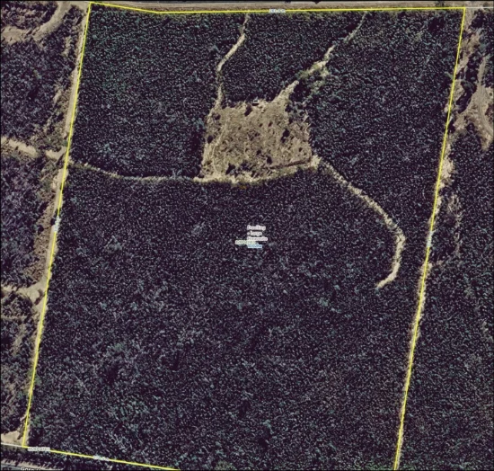 Lot 8 Basil Dr, Forest Ridge, Qld 4357