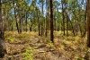 Lot 8 Pryors Road, Scotsburn, Vic 3352-Image