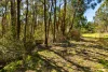 Lot 8 Pryors Road, Scotsburn, Vic 3352-Image