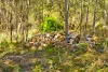 Lot 8 Pryors Road, Scotsburn, Vic 3352-Image