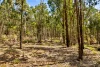 Lot 8 Pryors Road, Scotsburn, Vic 3352-Image