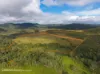 Lot 8, Wetherby Road, Mount Molloy, Qld 4871