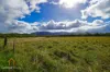 Lot 8, Wetherby Road, Mount Molloy, Qld 4871-Image