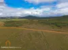 Lot 8, Wetherby Road, Mount Molloy, Qld 4871-Image