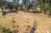 Lot 816 Messmate Grove, Baldivis, WA 6171-Image