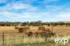 Lot 87 Blocks Road, Riverton, SA 5412-Image