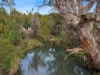 Lot 9, 524 Rosedale Road, Bicheno, Tas 7215