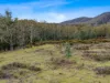 Lot 9, 524 Rosedale Road, Bicheno, Tas 7215-Image