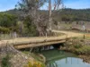 Lot 9, 524 Rosedale Road, Bicheno, Tas 7215-Image