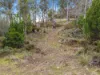 Lot 9, 524 Rosedale Road, Bicheno, Tas 7215-Image