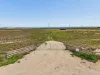 Lot 9, 629 Westbrook Road, Tailem Bend, SA 5260-Image