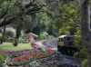 Lot 9, 900 Goodman Drive, Murphys Creek, Qld 4352-Image