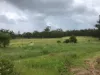 Lot 9, 900 Goodman Drive, Murphys Creek, Qld 4352-Image