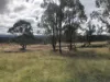 Lot 9, 900 Goodman Drive, Murphys Creek, Qld 4352-Image