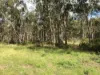 Lot 9, 900 Goodman Drive, Murphys Creek, Qld 4352-Image