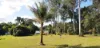 LOT 9 Bauhinia Dr, Carruchan, Qld 4816-Image